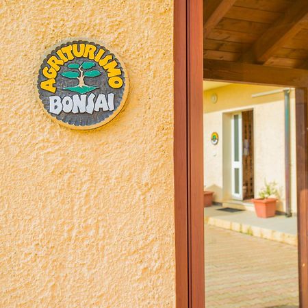 Bonsai B&B Alghero Santa Maria la Palma Eksteriør billede
