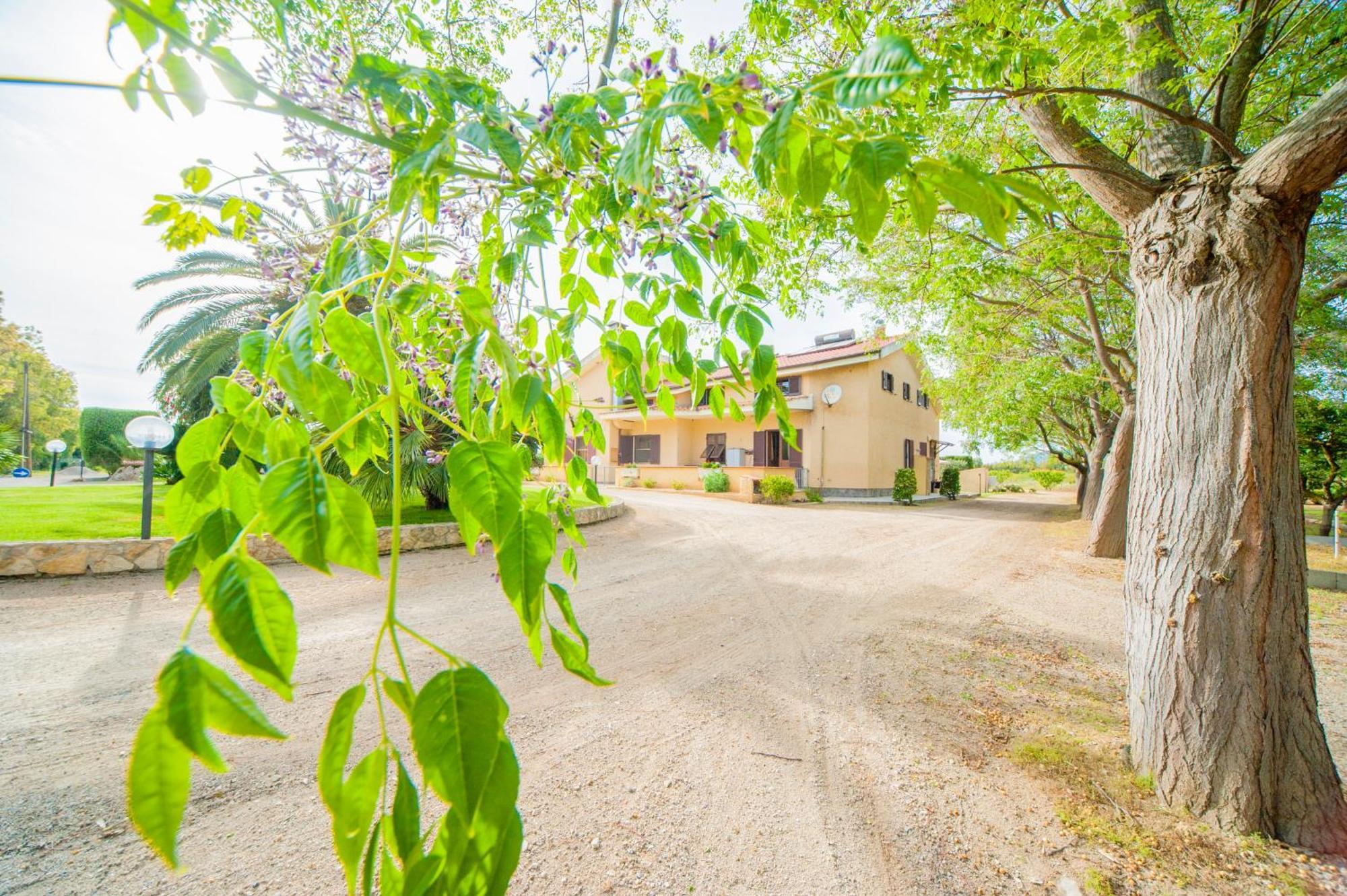 Bonsai B&B Alghero Santa Maria la Palma Eksteriør billede